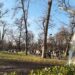 Облекчават ковид мерките в страната на 3 стъпки