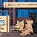 Пакетни цени за четвъртокласници в платформата Easymath.bg